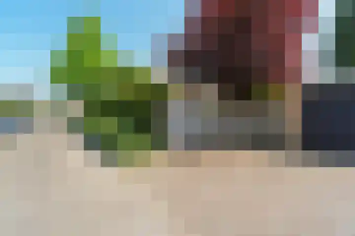 Jan Pieterszoon Coenstraat 2 Rheden thumbnail 35