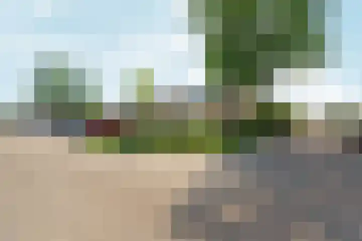 Jan Pieterszoon Coenstraat 2 Rheden thumbnail 41