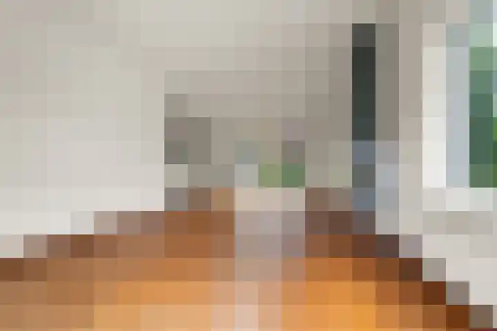 Jan Pieterszoon Coenstraat 2 Rheden thumbnail 6