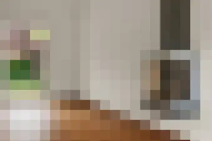 Jan Pieterszoon Coenstraat 2 Rheden thumbnail 7