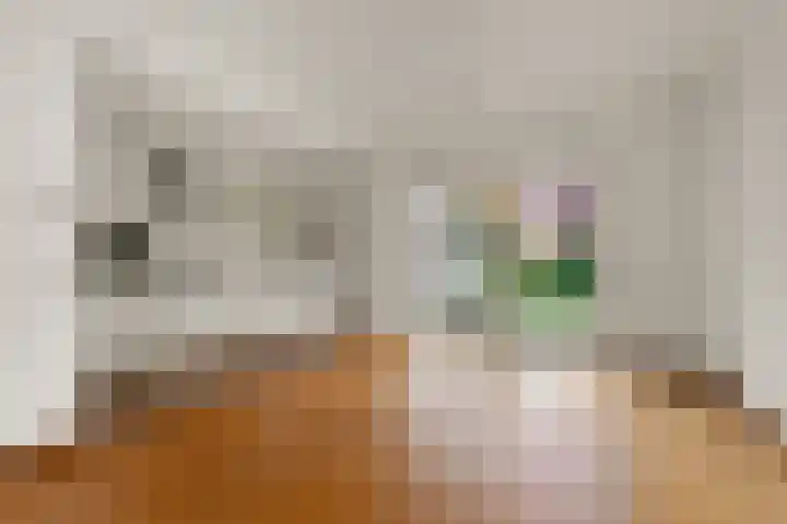 Jan Pieterszoon Coenstraat 2 Rheden thumbnail 8