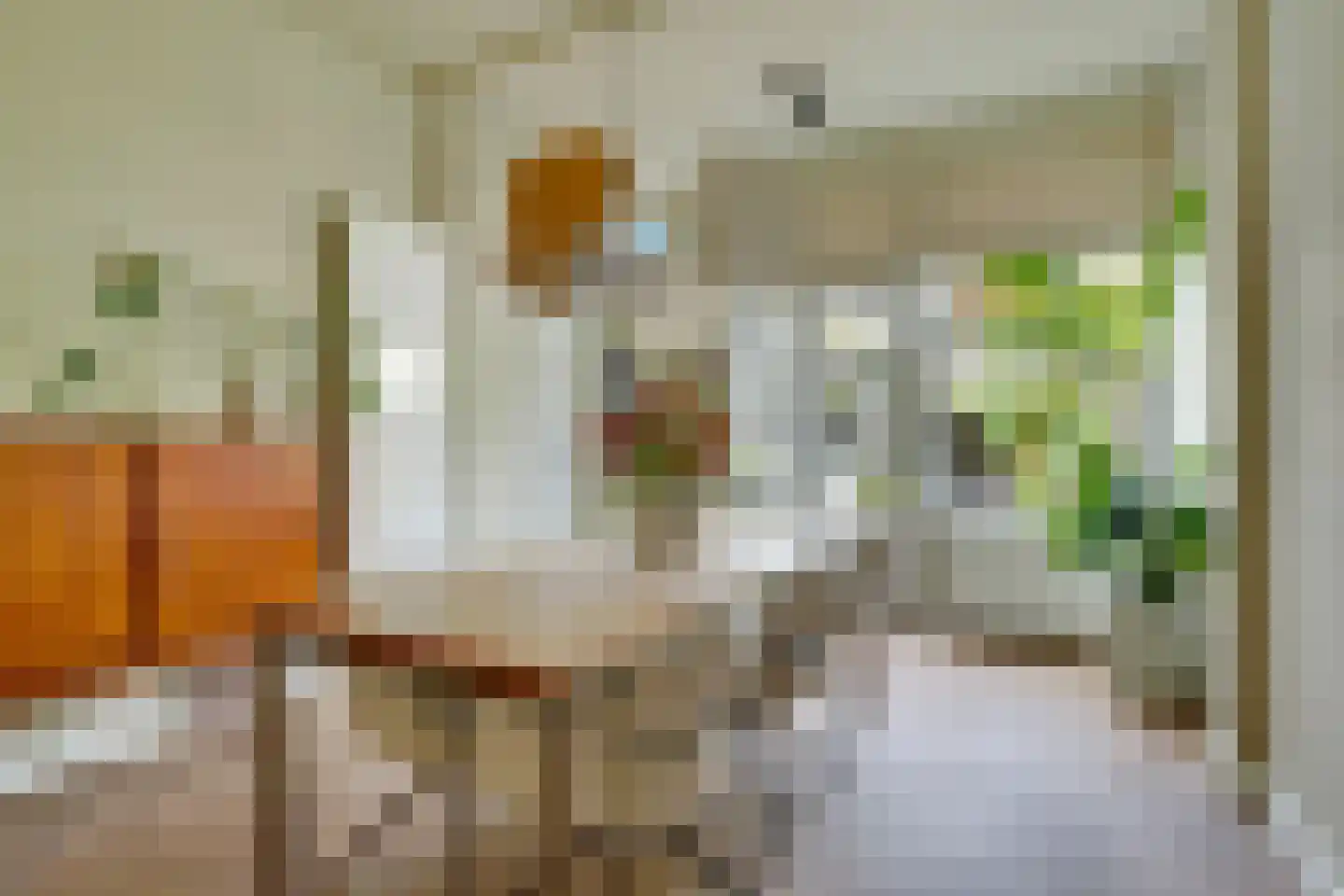 Jan Pieterszoon Coenstraat 26 Utrecht thumbnail 11