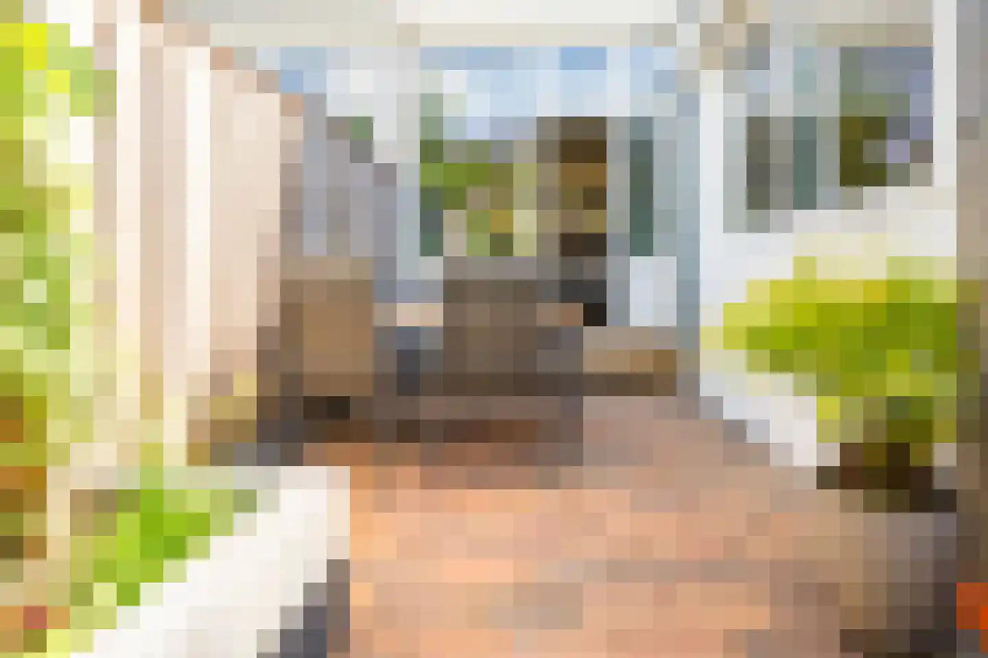 Jan Pieterszoon Coenstraat 26 Utrecht thumbnail 25