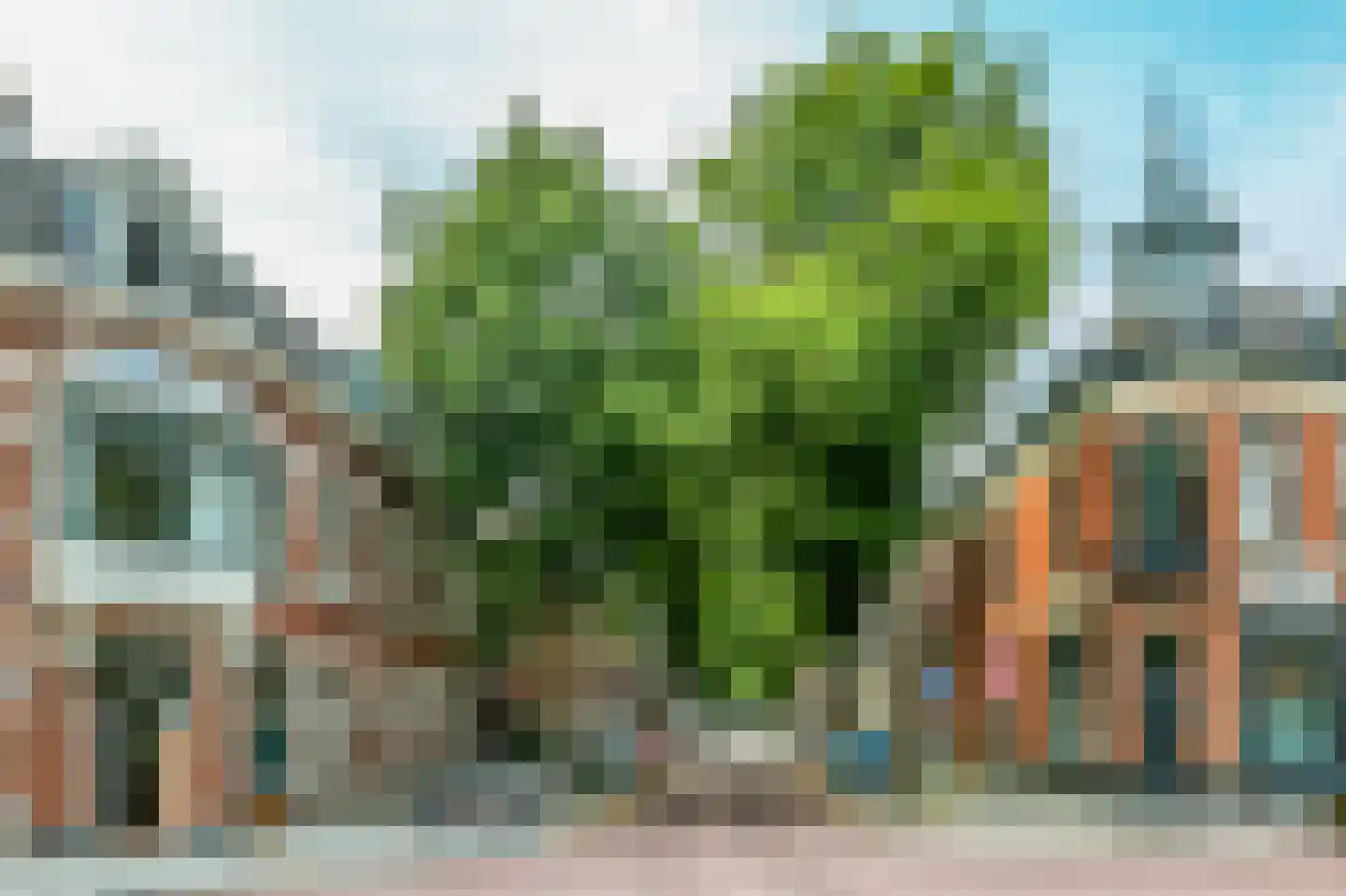 Jan Pieterszoon Coenstraat 26 Utrecht thumbnail 48