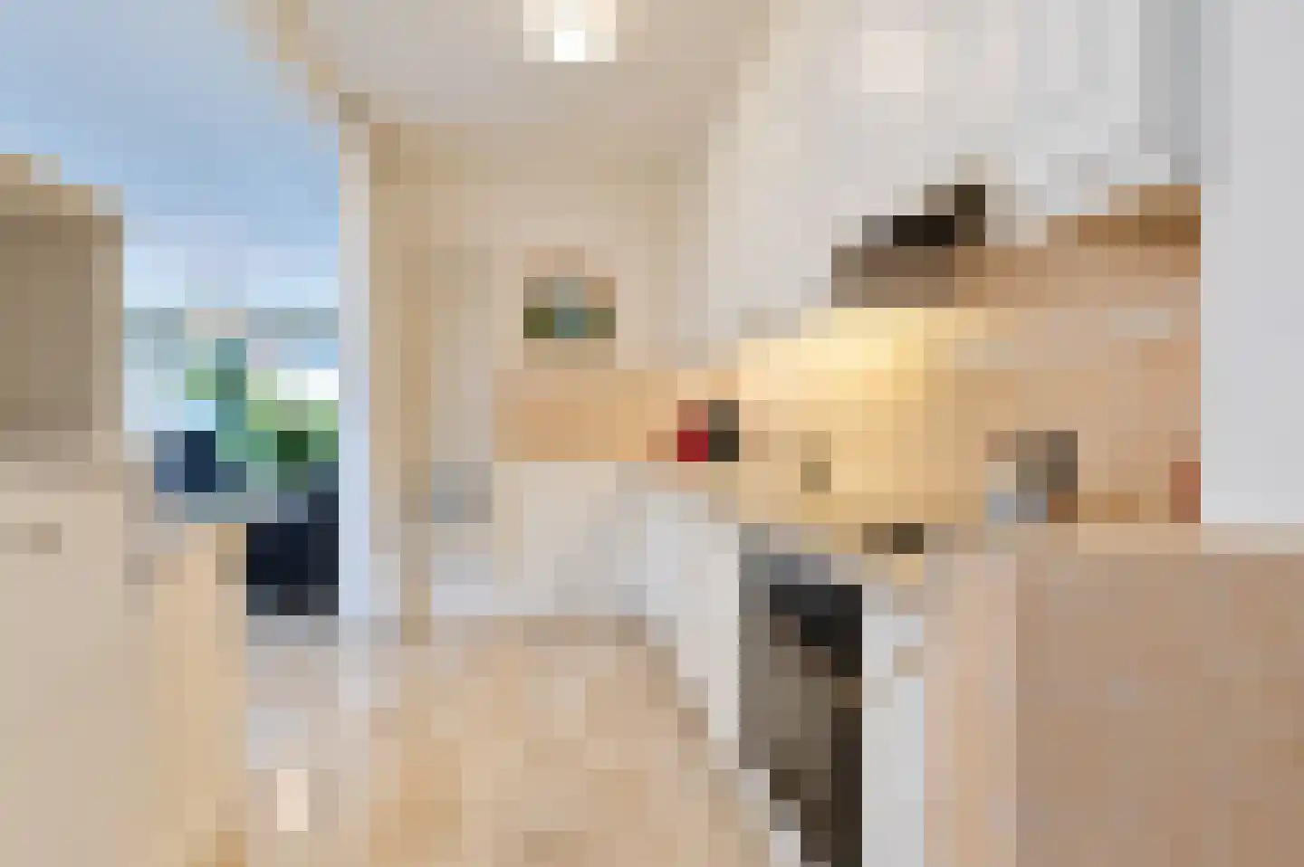 Jan Pieterszoon Coenstraat 27 Voorschoten thumbnail 15
