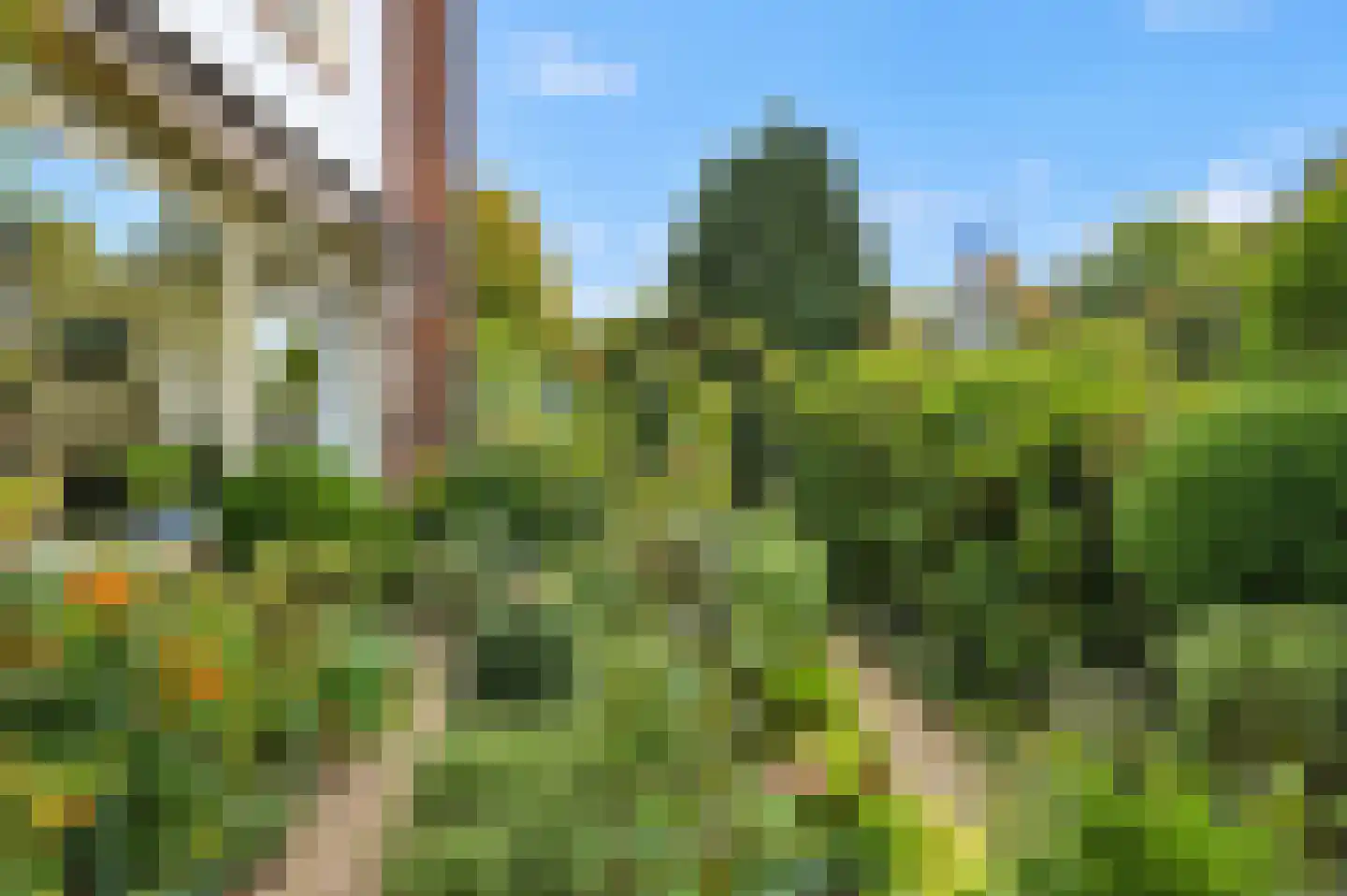 Jan Pieterszoon Coenstraat 27 Voorschoten thumbnail 6