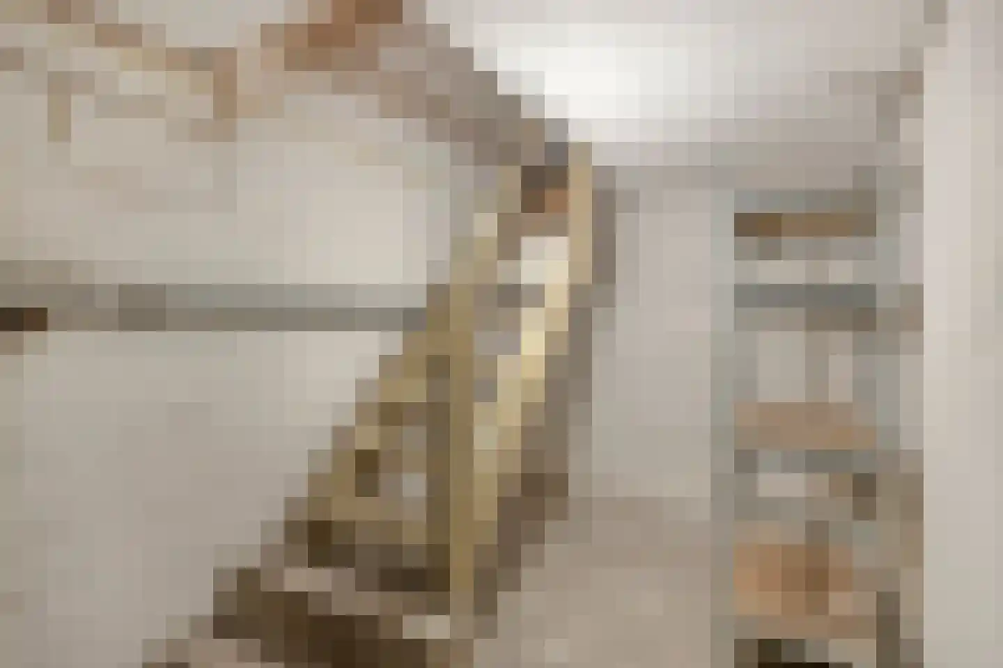 Jan Pieterszoon Coenstraat 34 Roermond thumbnail 26