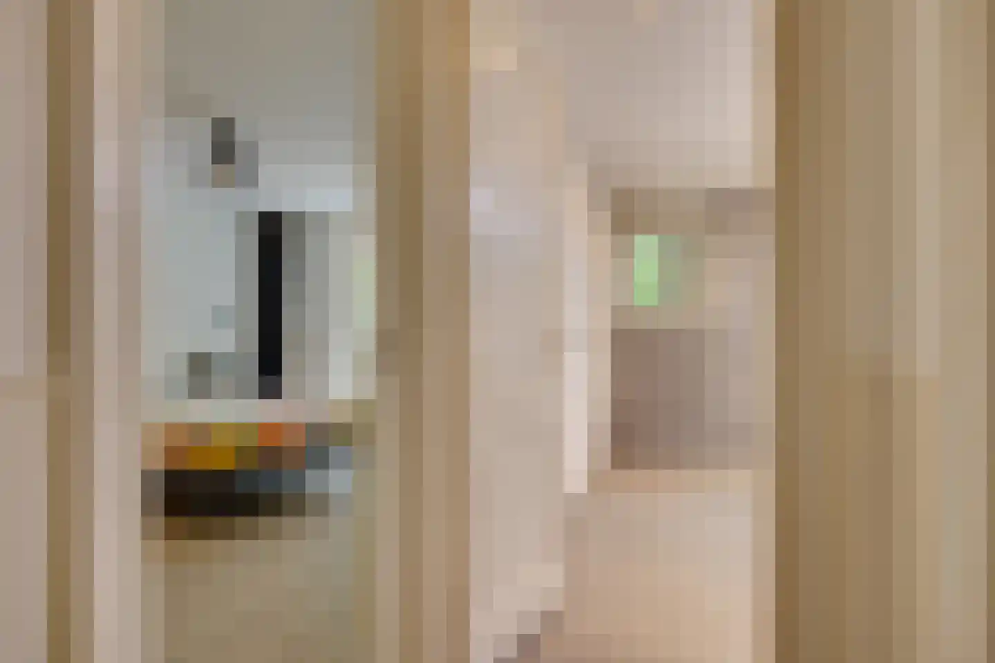 Jan Pieterszoon Coenstraat 35 Utrecht thumbnail 29