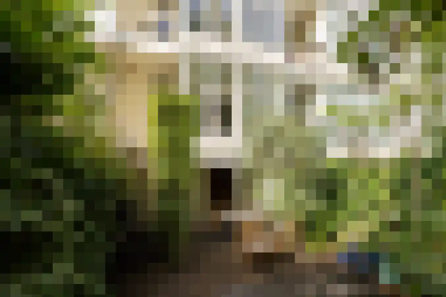 Jan Pieterszoon Coenstraat 35 Utrecht thumbnail 37