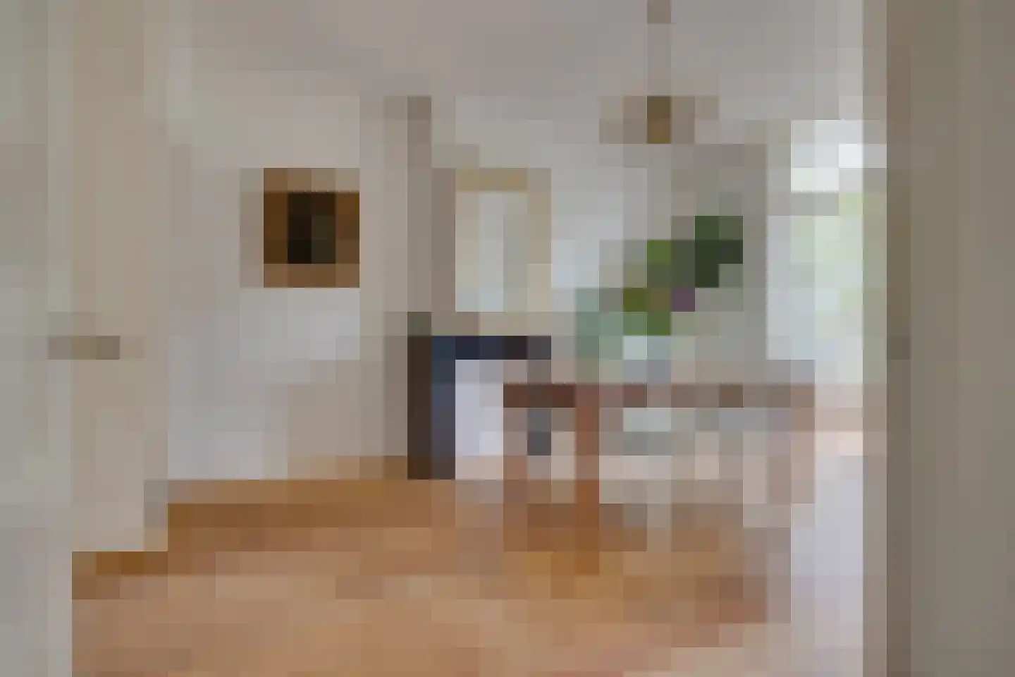 Jan Pieterszoon Coenstraat 35 Utrecht thumbnail 6