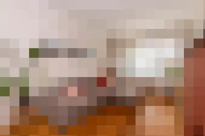 Jan Pieterszoon Coenstraat 47 Tilburg thumbnail 10