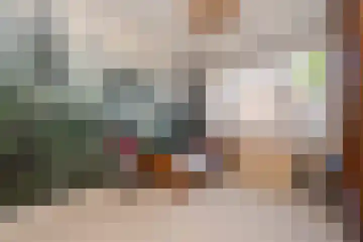 Jan Pieterszoon Coenstraat 47 Tilburg thumbnail 20