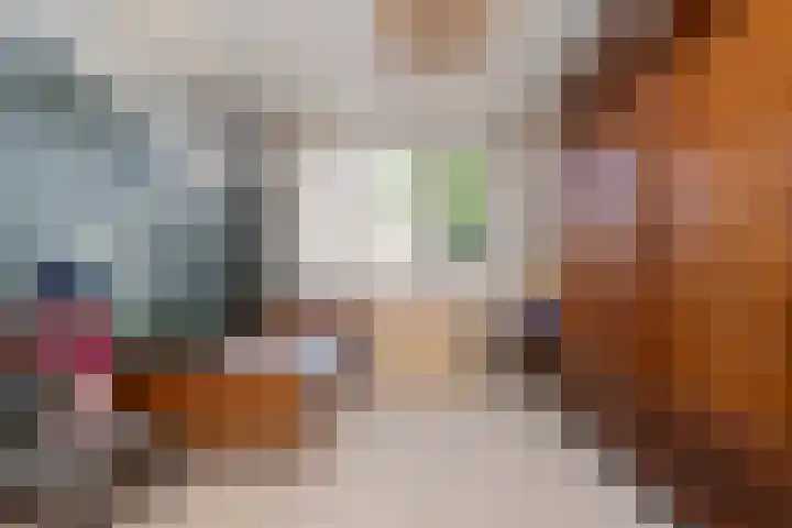 Jan Pieterszoon Coenstraat 47 Tilburg thumbnail 21