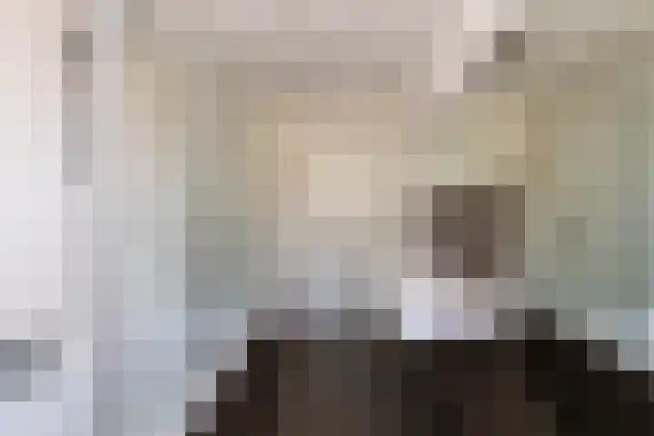 Jan Pieterszoon Coenstraat 47 Tilburg thumbnail 27