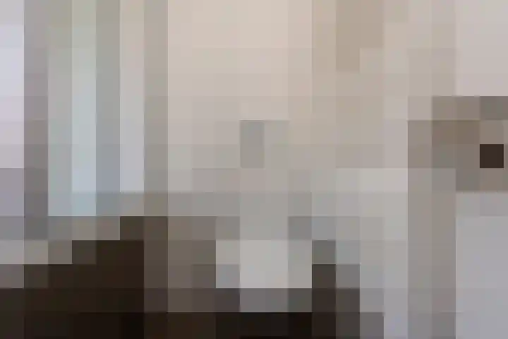 Jan Pieterszoon Coenstraat 47 Tilburg thumbnail 28