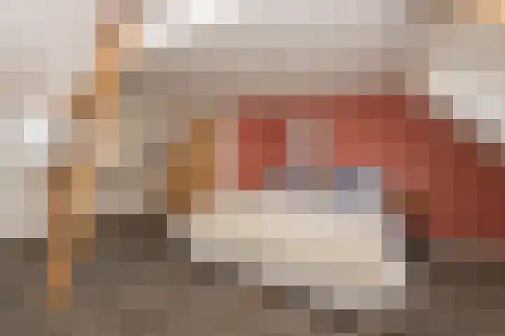 Jan Pieterszoon Coenstraat 47 Tilburg thumbnail 30