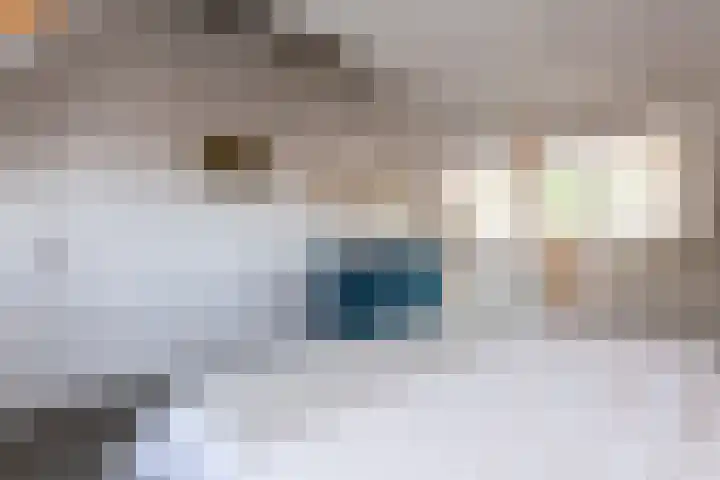 Jan Pieterszoon Coenstraat 47 Tilburg thumbnail 31