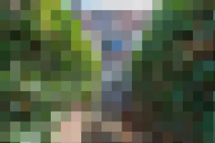 Jan Pieterszoon Coenstraat 47 Tilburg thumbnail 34