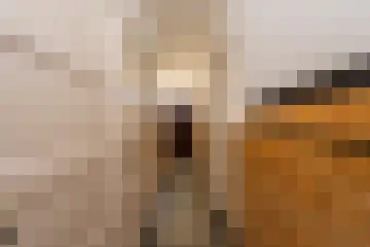 Jan Pieterszoon Coenstraat 47 Tilburg thumbnail 8