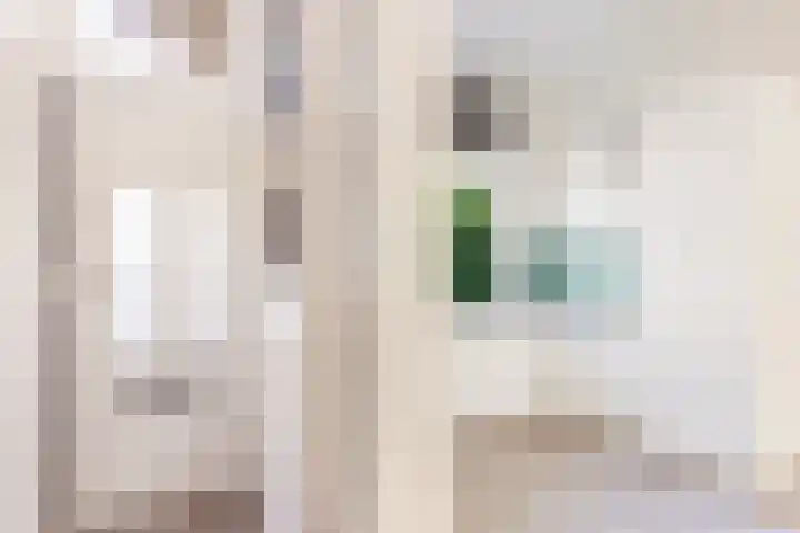 Jan Pieterszoon Coenstraat 49 Utrecht thumbnail 5