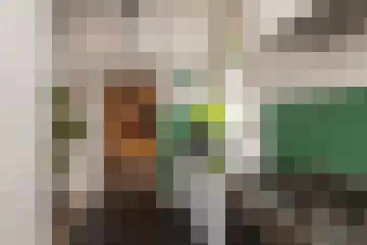 Jan Pieterszoon Coenstraat 51 Tilburg thumbnail 14