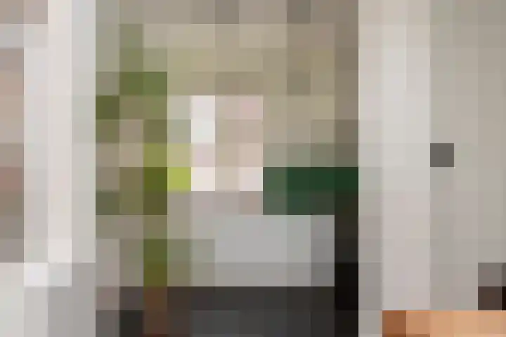 Jan Pieterszoon Coenstraat 51 Tilburg thumbnail 15