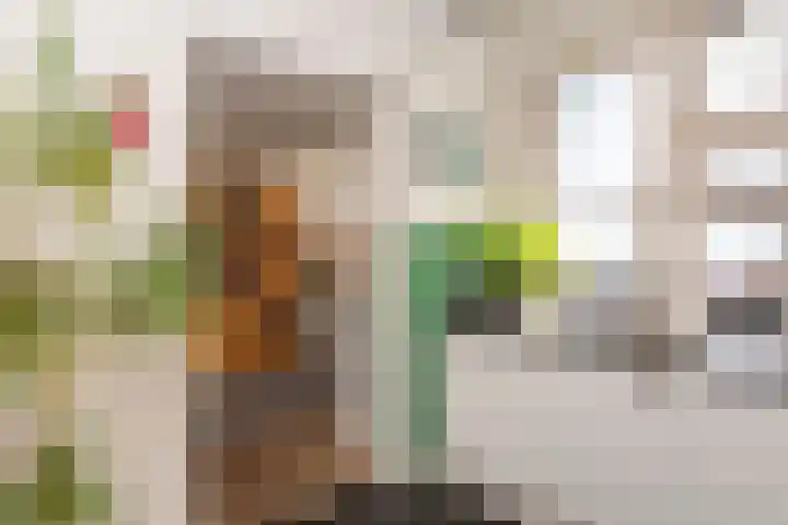Jan Pieterszoon Coenstraat 51 Tilburg thumbnail 16