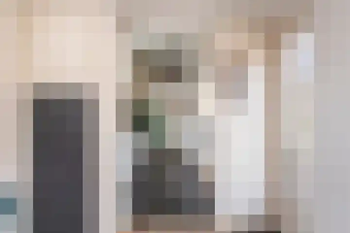 Jan Pieterszoon Coenstraat 51 Tilburg thumbnail 18
