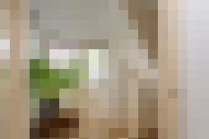Jan Pieterszoon Coenstraat 51 Tilburg thumbnail 20