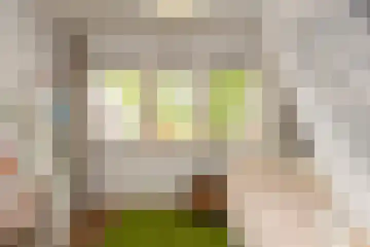 Jan Pieterszoon Coenstraat 51 Tilburg thumbnail 22