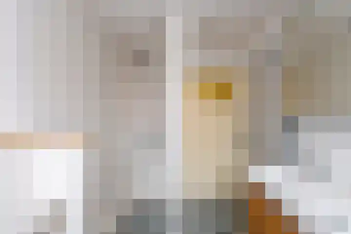 Jan Pieterszoon Coenstraat 51 Tilburg thumbnail 28
