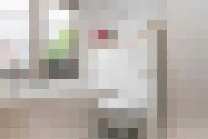Jan Pieterszoon Coenstraat 51 Tilburg thumbnail 29