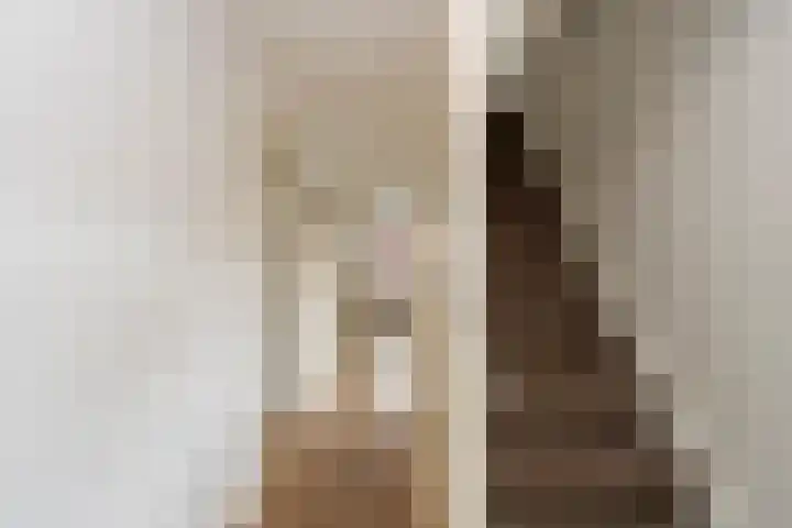 Jan Pieterszoon Coenstraat 51 Tilburg thumbnail 31