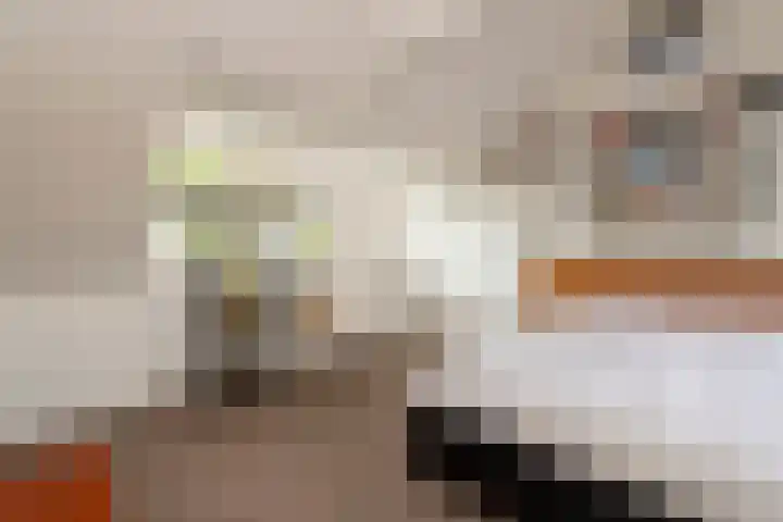 Jan Pieterszoon Coenstraat 51 Tilburg thumbnail 33