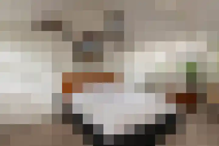 Jan Pieterszoon Coenstraat 51 Tilburg thumbnail 34