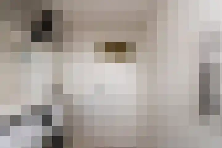 Jan Pieterszoon Coenstraat 51 Tilburg thumbnail 38