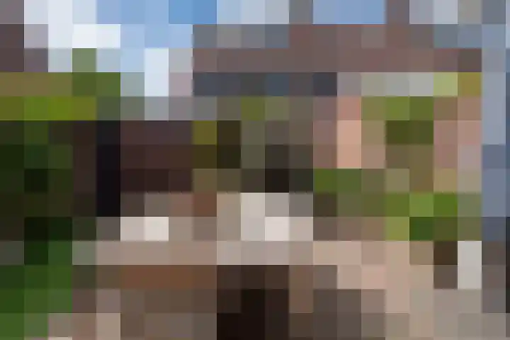 Jan Pieterszoon Coenstraat 51 Tilburg thumbnail 4
