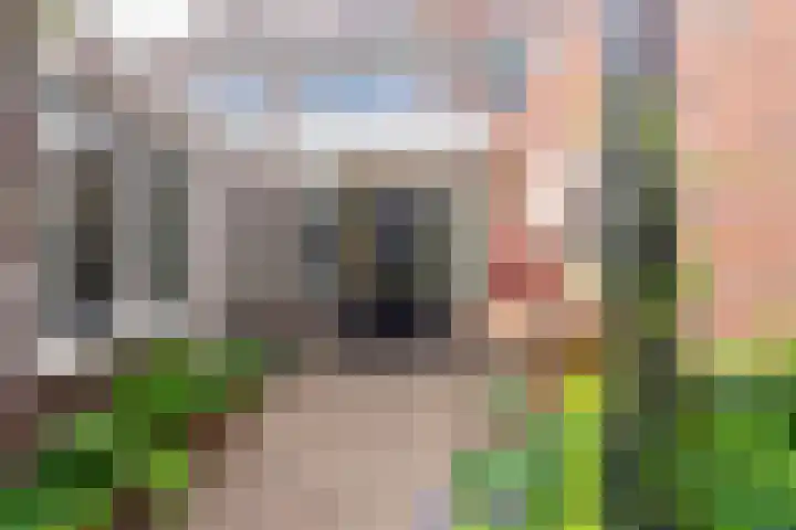 Jan Pieterszoon Coenstraat 51 Tilburg thumbnail 44