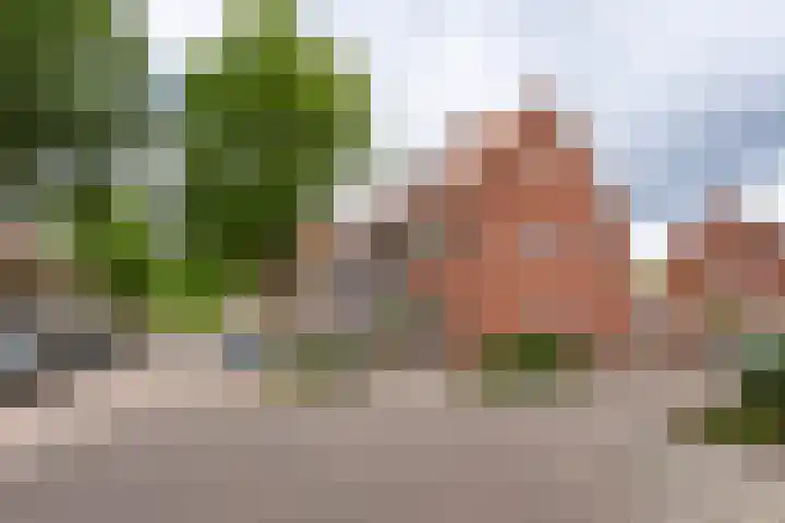 Jan Pieterszoon Coenstraat 51 Tilburg thumbnail 45