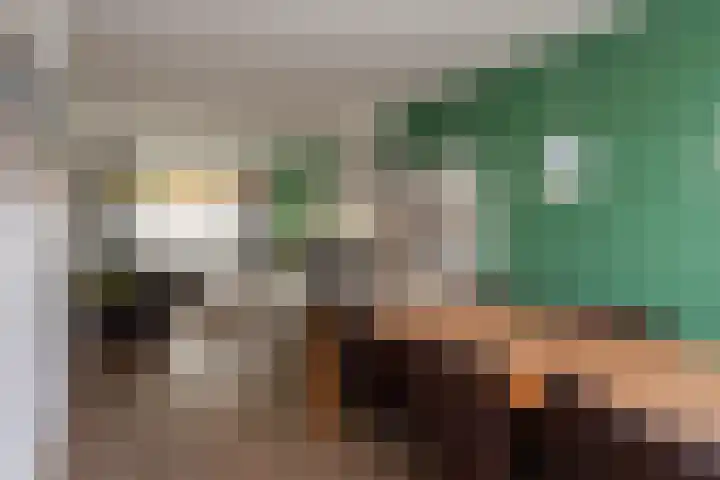 Jan Pieterszoon Coenstraat 51 Tilburg thumbnail 9