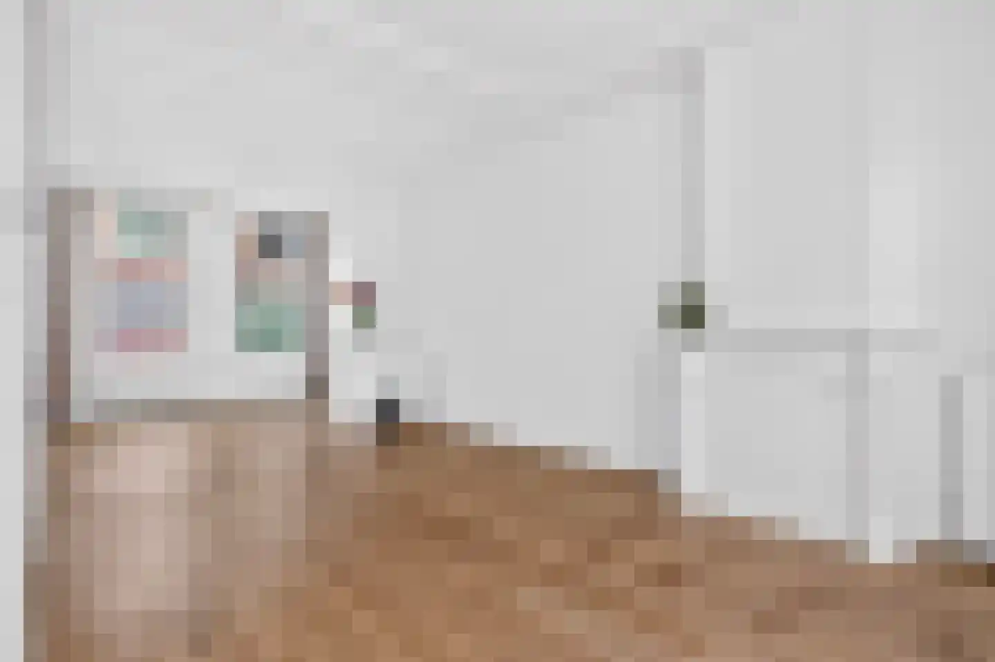 Jan Pieterszoon Coenstraat 52 Utrecht thumbnail 9