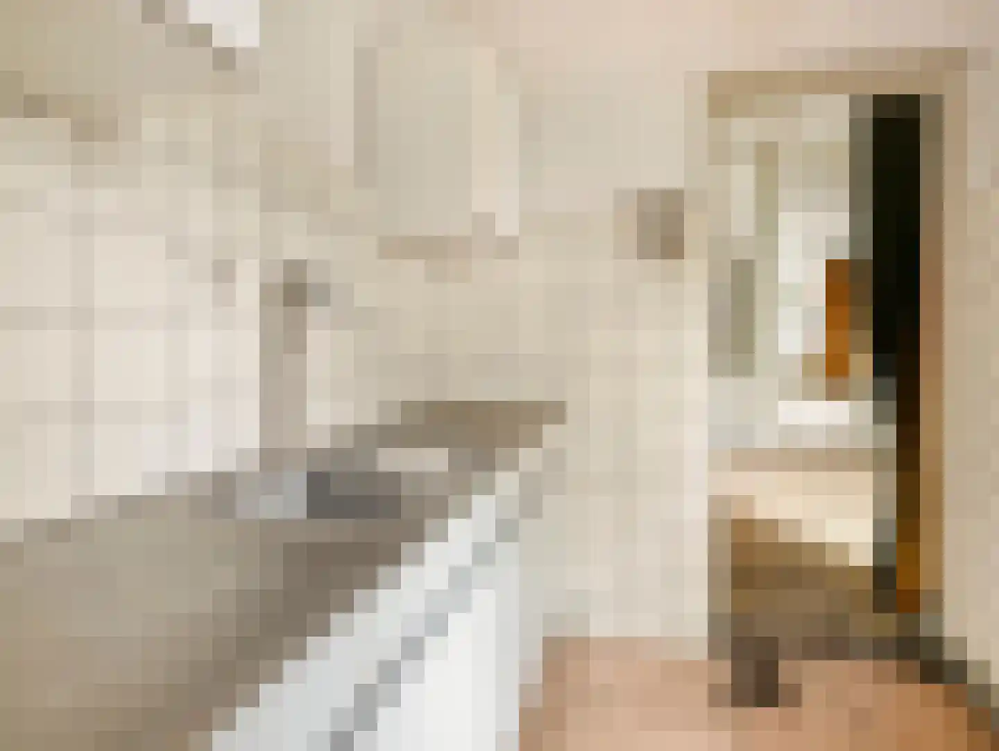 Jan Pieterszoon Coenstraat 53 Utrecht thumbnail 16