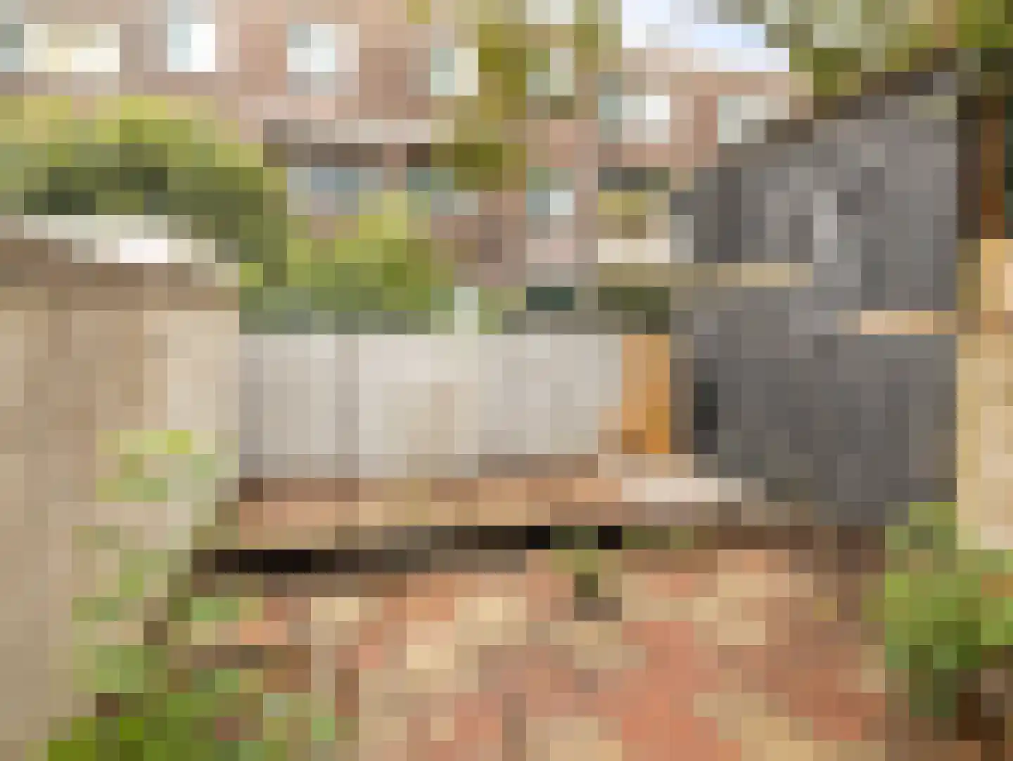 Jan Pieterszoon Coenstraat 53 Utrecht thumbnail 18