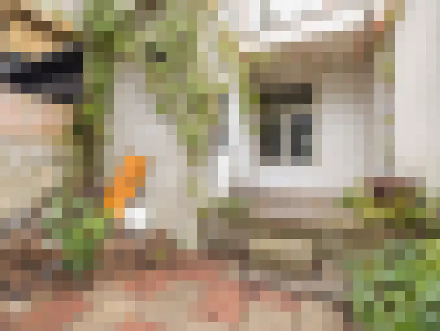 Jan Pieterszoon Coenstraat 53 Utrecht thumbnail 19