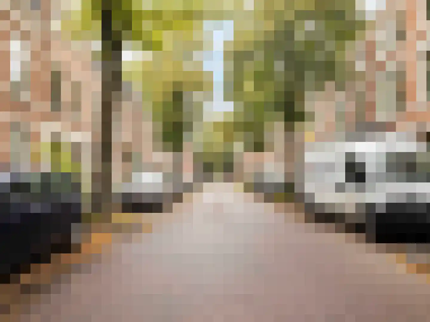 Jan Pieterszoon Coenstraat 53 Utrecht thumbnail 21