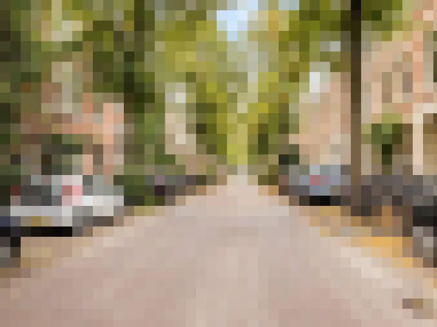 Jan Pieterszoon Coenstraat 53 Utrecht thumbnail 22