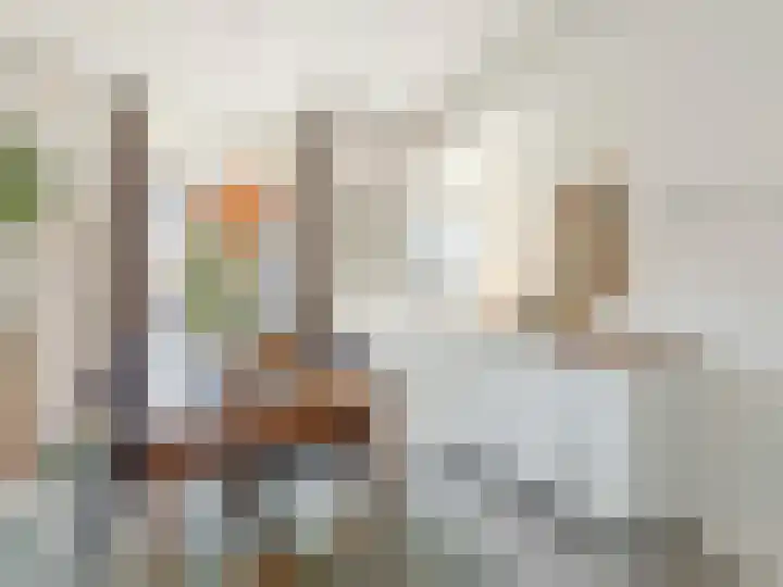 Jan Pieterszoon Coenstraat 56 BS Utrecht thumbnail 4