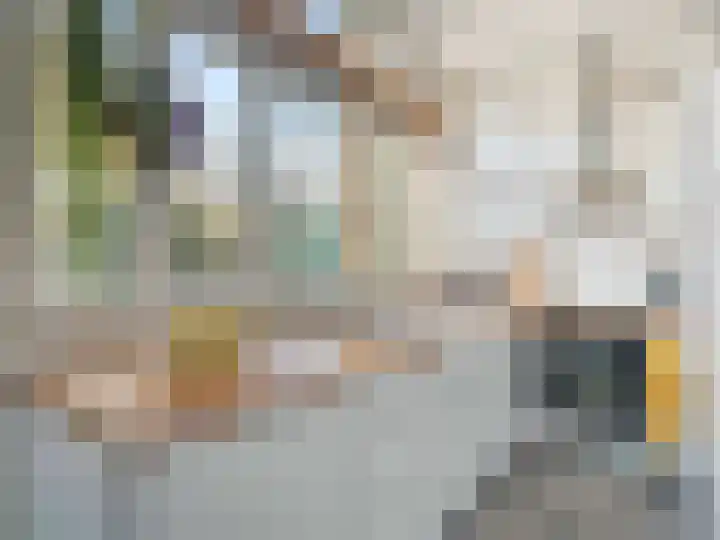 Jan Pieterszoon Coenstraat 56 Utrecht thumbnail 18