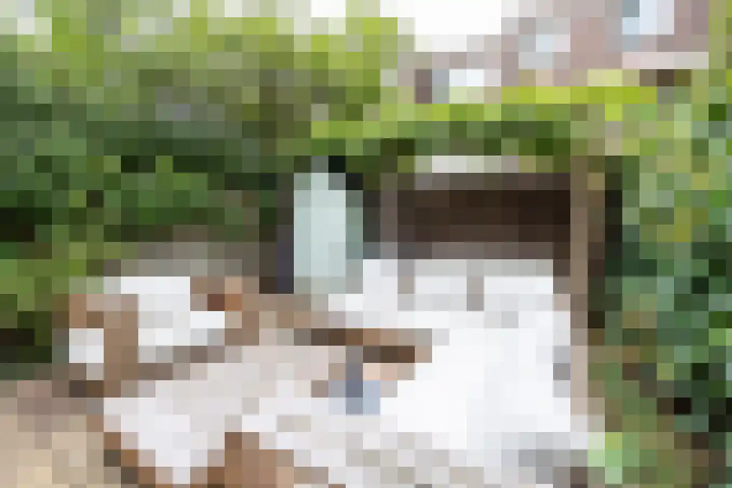 Jan Pieterszoon Coenstraat 63 Utrecht thumbnail 12