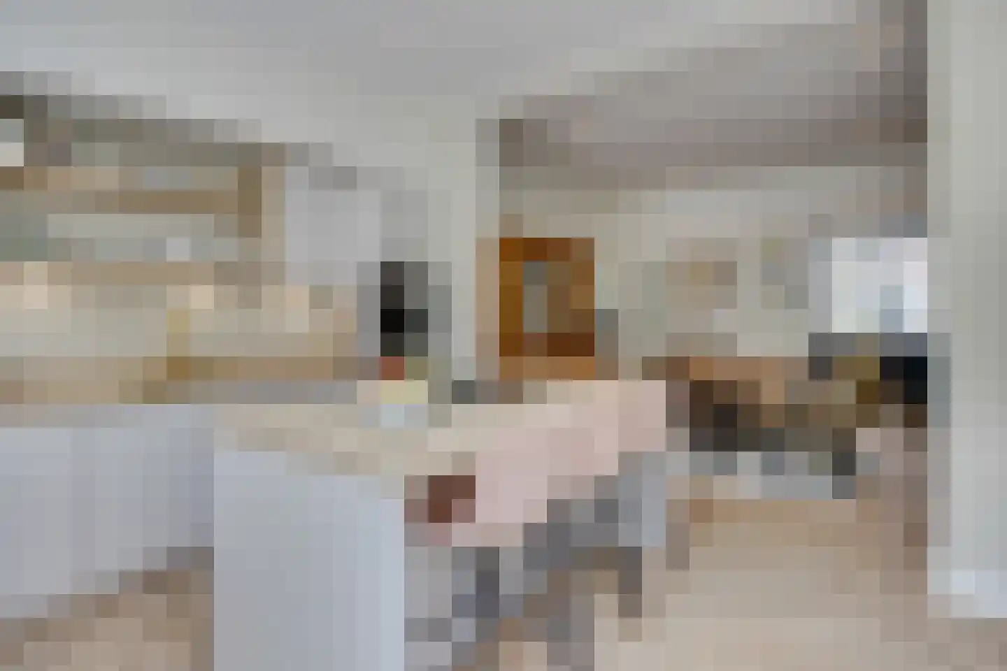 Jan Pieterszoon Coenstraat 63 Utrecht thumbnail 15